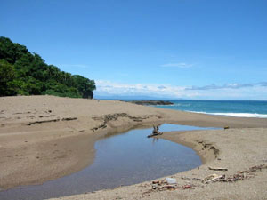 Amérique Centrale, Costa Rica, Montezuma, plage