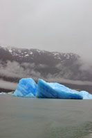 Iceberg sur le Lago Argentino