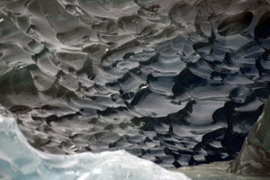 Iceberg sur le lago argentino