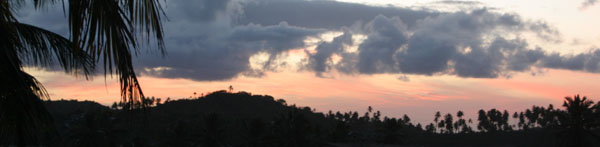 coucher de soleil sur les palmiers de la plage