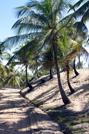 piste le long de la plage