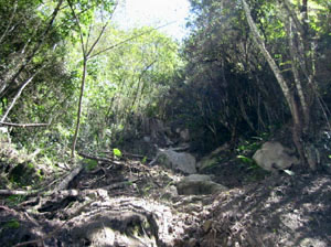 eboulement de terrain dans les yungas boliviens