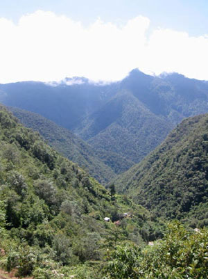 Bolivie, Camino del inca del choro, vallee verte des yungas boliviens