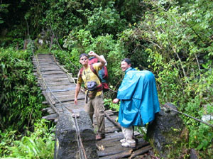Bolivie, Camino del inca del choro, pont de singe dans les yungas boliviens