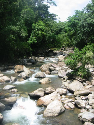 Bolivie, Cochabamba, Chapare, vue d'une riviere