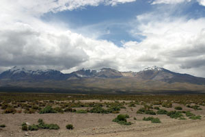 Paysage de l'Altiplano bolivien