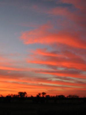 Bolivie, Santa Cruz, Chiquitanias, Missions Jesuites, coucher de soleil a conception