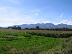 Cochabamba, Valle Alto, champs et montagnes de cliza
