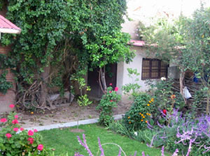 le jardin avec son maracuja et ses fleurs