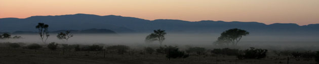 brumes au petit matin sue la savane