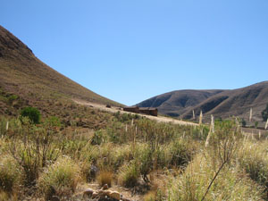 Bolivie, Cochabamba, paysage avec ferme isolee le long de la route vers Sivingani