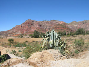 Bolivie, Vila Vila, montagne rouge