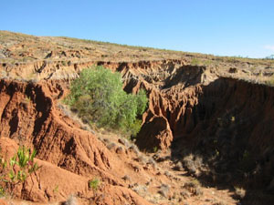 Bolivie, Cochabamba, Toro Toro, ravine de montagne