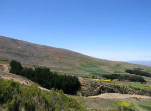 Bolivie, Cochabamba, Chapare, paysage de champs dans la montagne