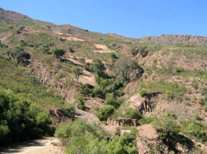 paysage de ravines verdoyantes