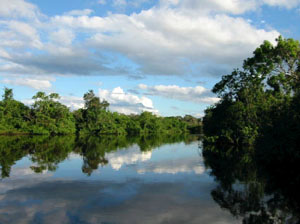 Bolivie, yungas, rurrenabaque, jungle se refletant sur le rio beni