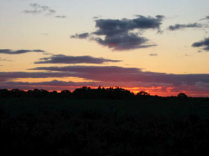 Bolivie, yungas, rurrenabaque, coucher de soleil sur la jungle