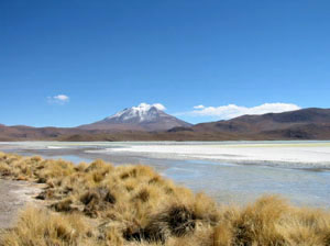 Bolivie, Sud Lipez, laguna hedionda