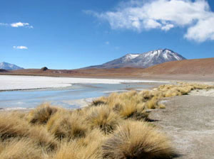 Bolivie, Sud Lipez, laguna hedionda