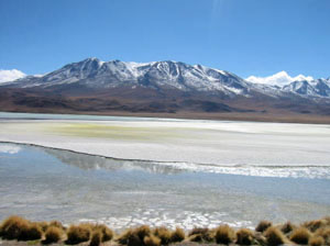 Bolivie, Sud Lipez, laguna hedionda