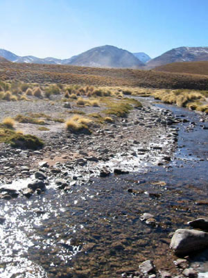 Bolivie, Sud Lipez, rio et  montagnes